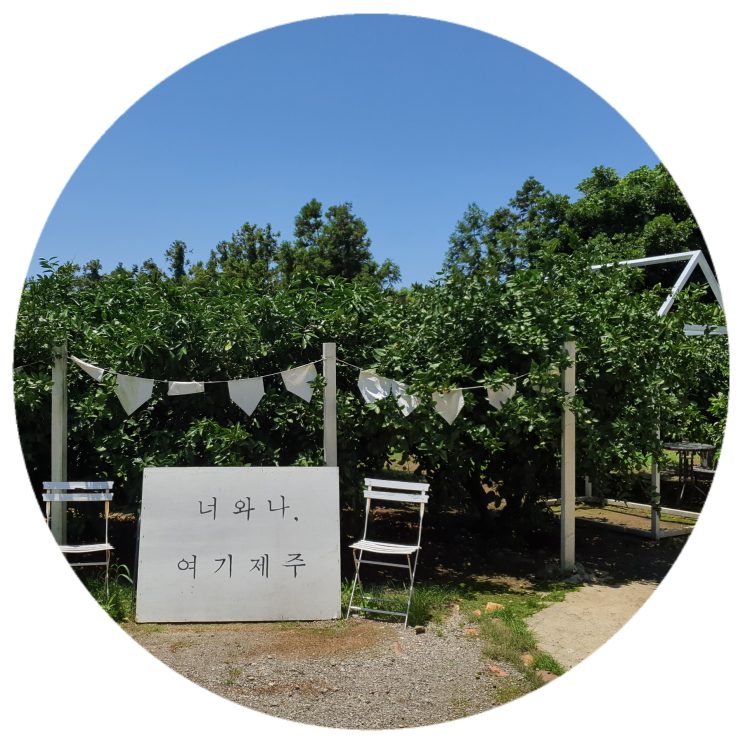 카페방랑일기 - 귤꽃 카페방랑일기 - 귤꽃
