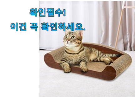 만족스러운 고양이 스크래쳐 모두의선택 추천합니다! 만족스러운 고양이 스크래쳐 모두의선택 추천합니다!