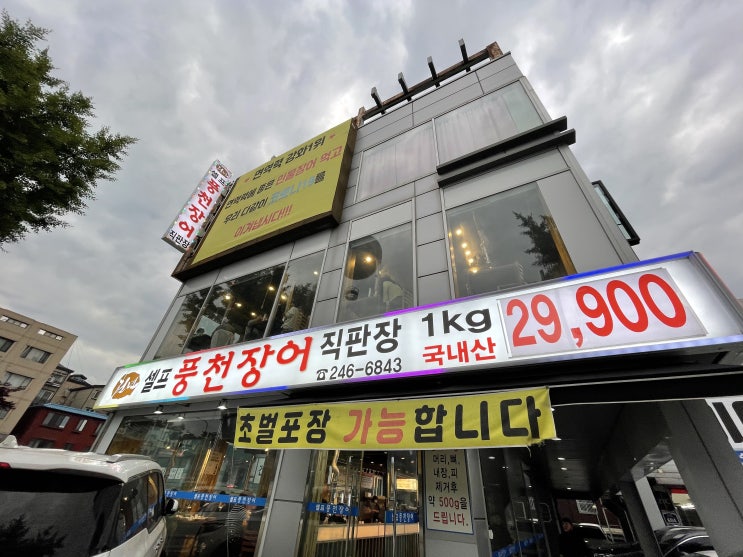  수원 가성비 장어 맛집 <천년풍천장어> 1kg 29,900원! *플라잉 수원 바로앞