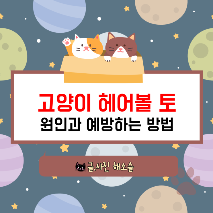  고양이 헤어볼 토 원인과 예방하는 방법 알아봐요(사진 주의)