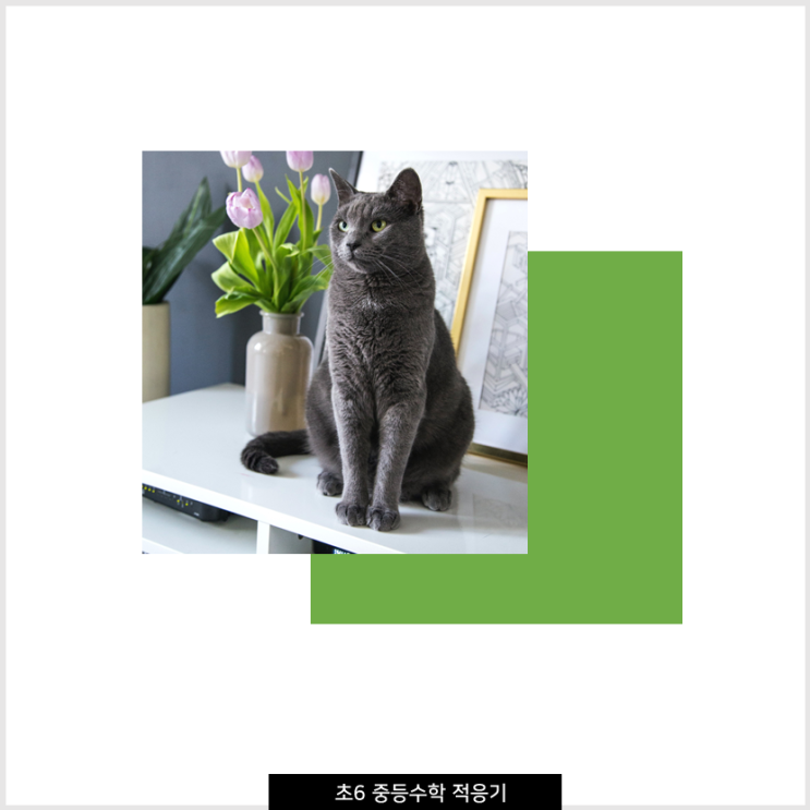  리터니 초6의 중등 수학 적응기