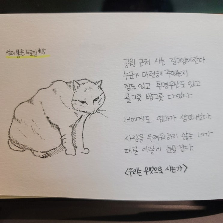  너에게도 엄마가 생겼나보다