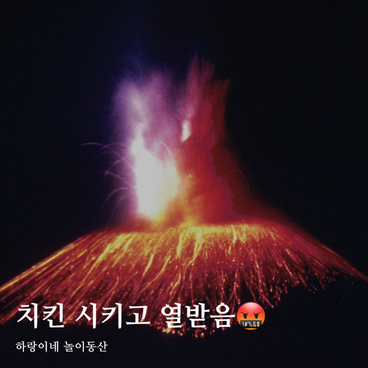 손님을 손놈 취급하던 치킨집 인성에 극대노 해벌임,,