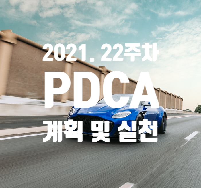 2021년 계획과 실천 22주차 점검 [새해목표는 어디로?]
