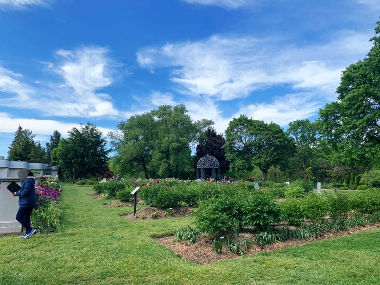  [캐나다 여행] 토론토 1시간 이내 근교 여행지 오샤와 밸리 보태니컬 가든 (Oshawa Valley Botanical Gardens) + feat. 야생비버