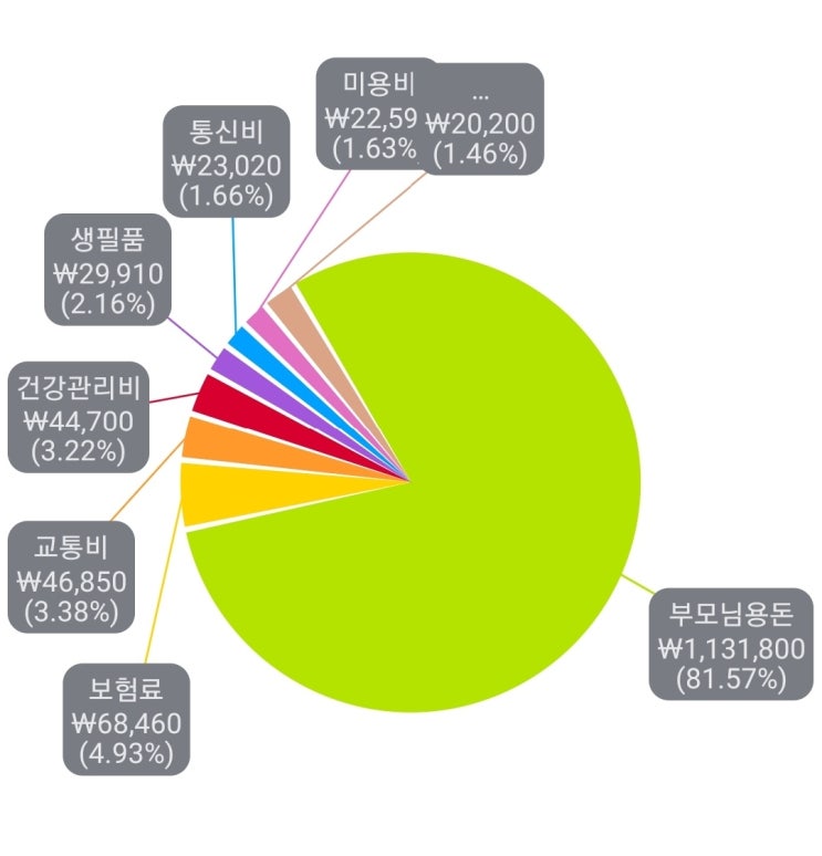  30대 직장인 1달 지출 : - 1,387,530원 (21년 5월)