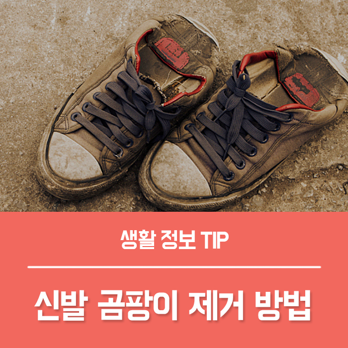  신발 곰팡이 제거 방법 알려드려요~