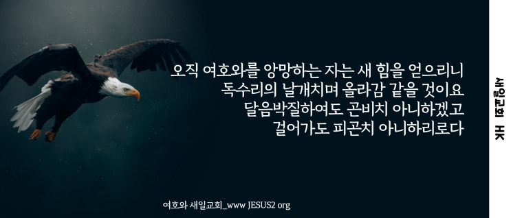 새일교회 ㅣ여호와 뜻을 돌이키고 못 돌이킬 일