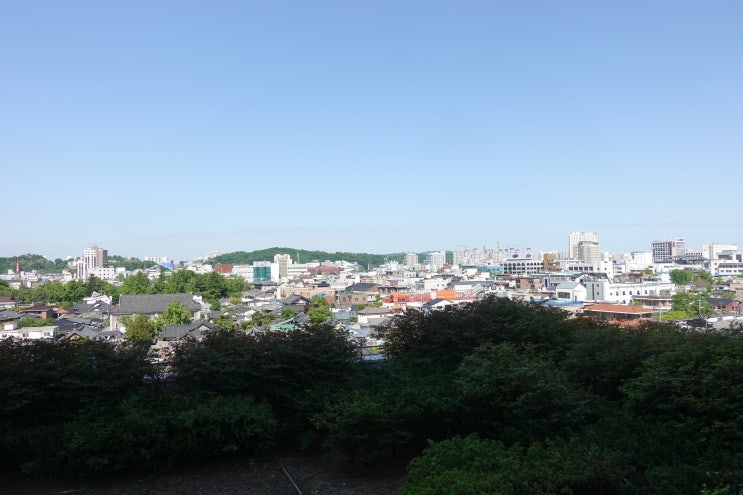  코막힘 두통 이명 고혈압이 있을때