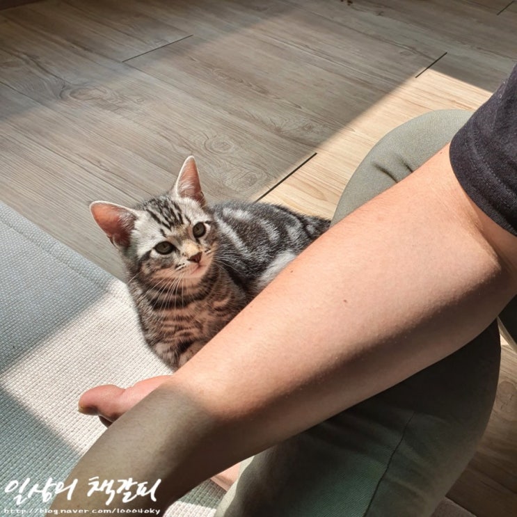  슈비일기 2021. 5. 30. 첫 만남과 혹독한 신고식
