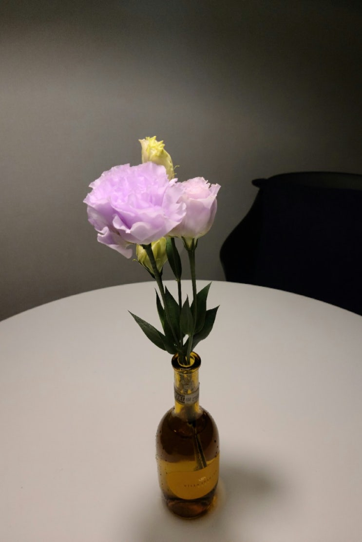  5월 31일 오늘일기: 나를 위한 선물 보랏빛 리시안셔스 한송이