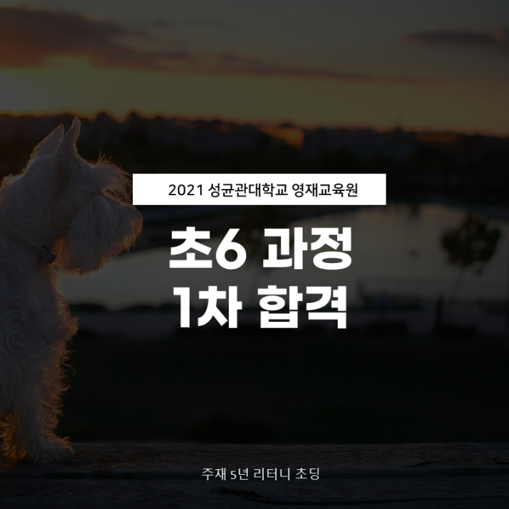  2021 성대 영재교육원 1차 합격