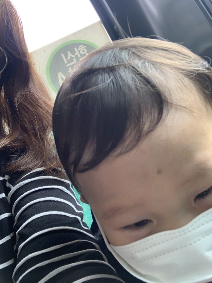  2021.05.31 달삐츠의 일기