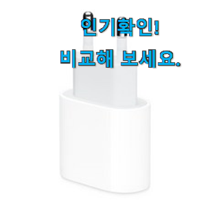  유행예감 아이폰 충전기 정품 신박한물건 선물하기에도 좋은듯 해요