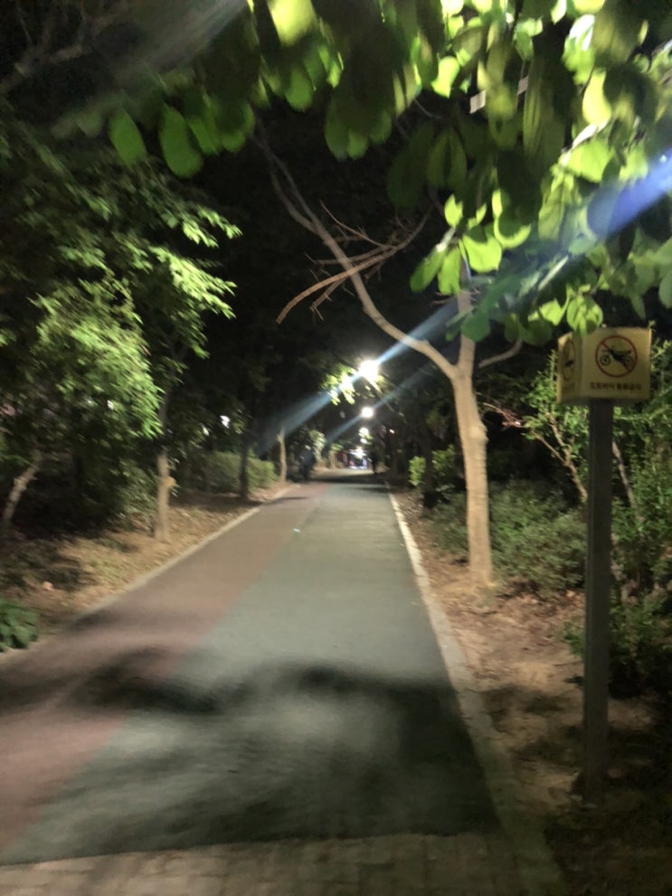 5월 31일 일기 - 밤 산책
