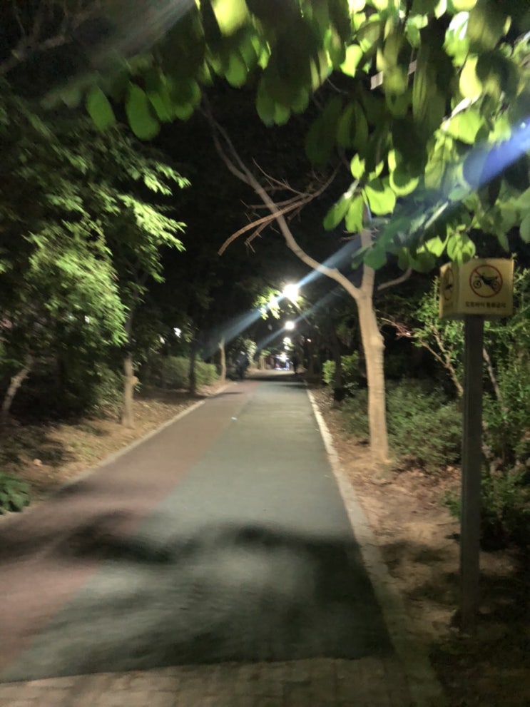  5월 31일 일기 - 밤 산책
