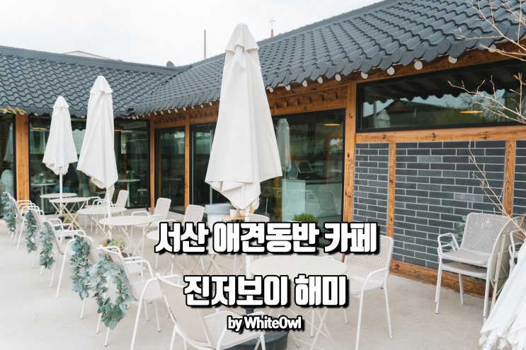  서산 해미읍성 근처 진저보이 애견동반 한옥카페 다녀왔어요
