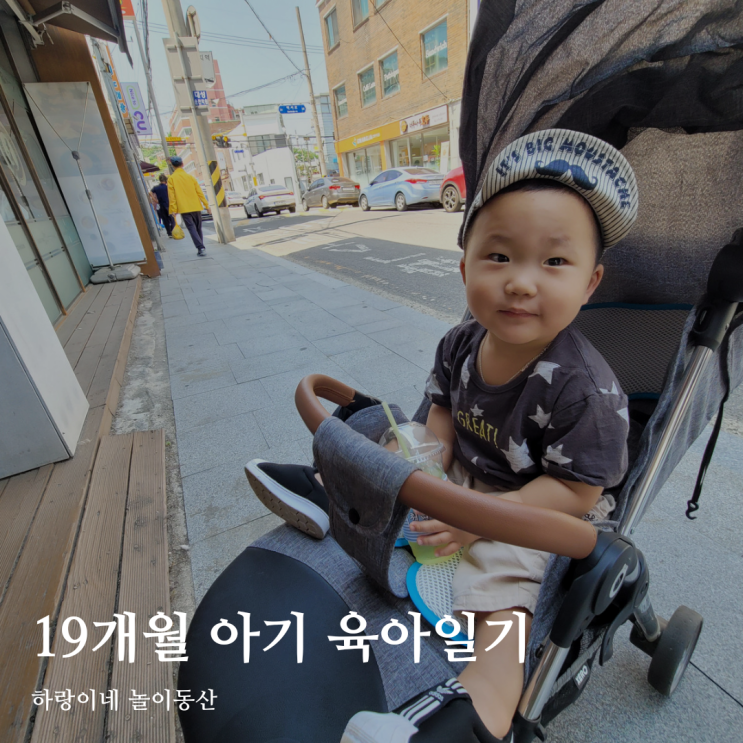  19개월 아기 성장발달 기록 생후601일 / 양림동 커볶 고양이, 대화시도, 영어TV