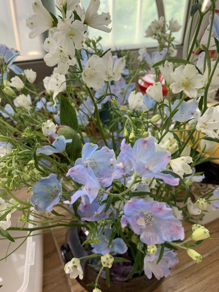  210531 열한번째 오늘일기