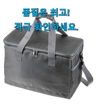  최후의 선택 휴대용 아이스박스 가방 인기목록 친구들도 인정하네요