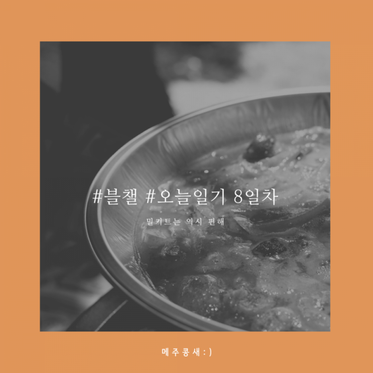  오늘일기 8일차