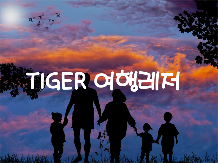  [국내주식] 여행 및 레저 관련주에 투자하는 TIGER 여행레저