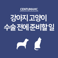  강아지 고양이 수술 전에 준비할 일