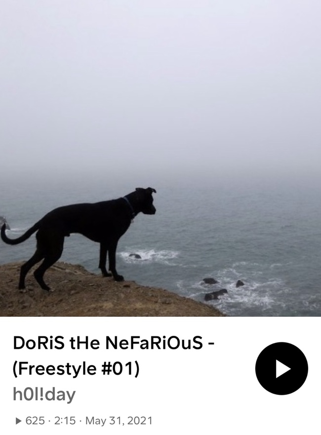  DoRiS tHe NeFaRiOuS - Freestyle #01 (검정치마 아님X)