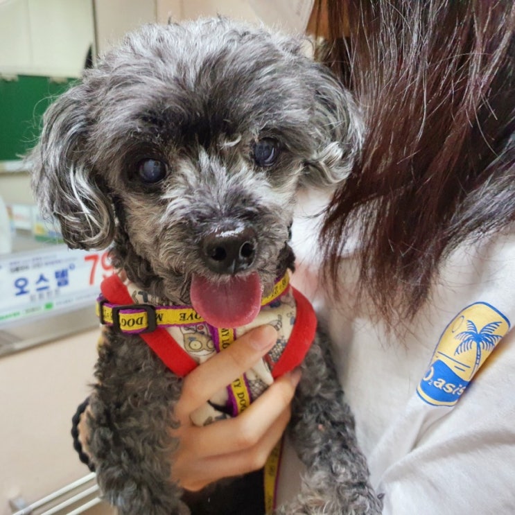  오늘일기-엄마집 방문기