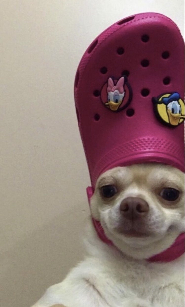 72 21살 남자의 코인,주식 이야기 78,104,713원 떼인 세금 받았어요! 삼쩜삼 5월 31일 : 네이버 블로그