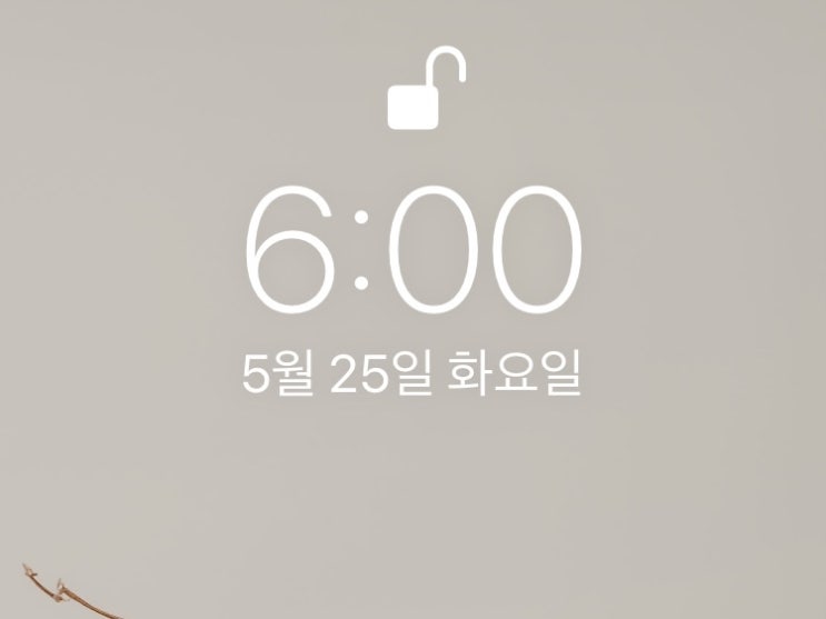  [습관만들기] 미라클 모닝 WEEK 2