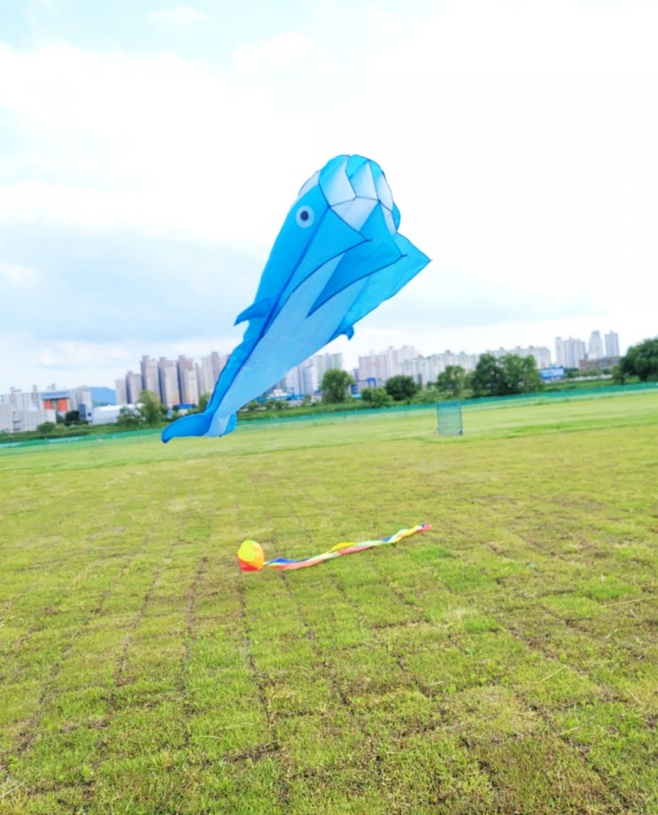  곡교천 시민 체육공원 차크닉/대왕 고래 연날리기