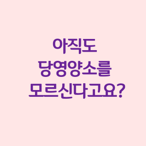  아직도 당 영양소를 모르신다고요?