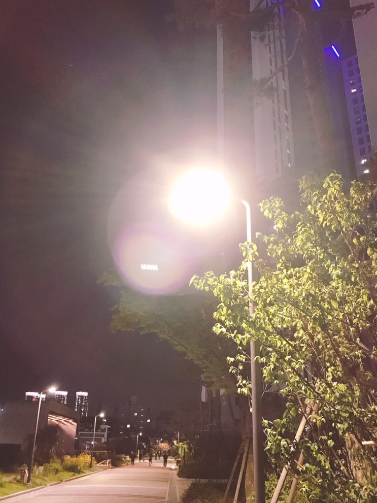 다시, 알찬하루 만들기~ (8일차)