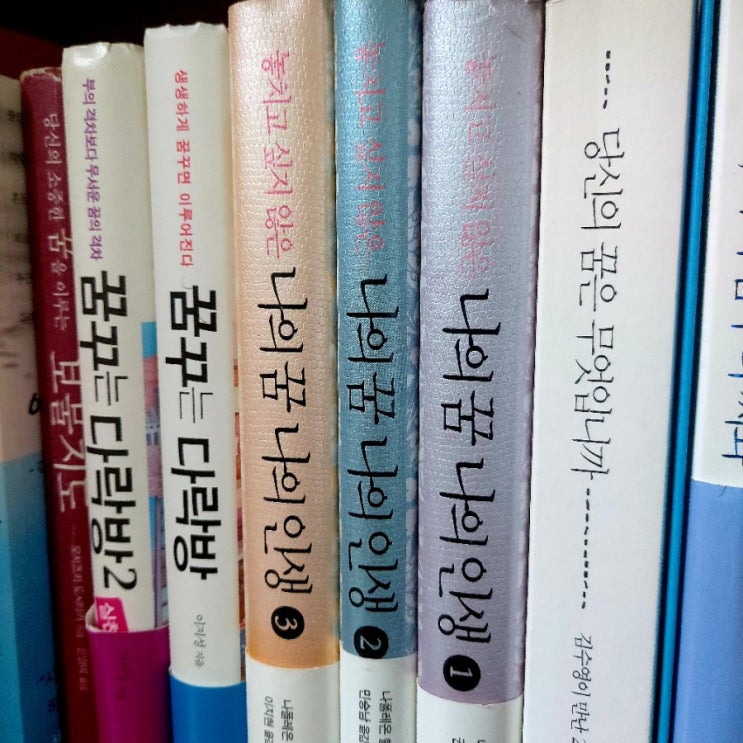  D+9 미련