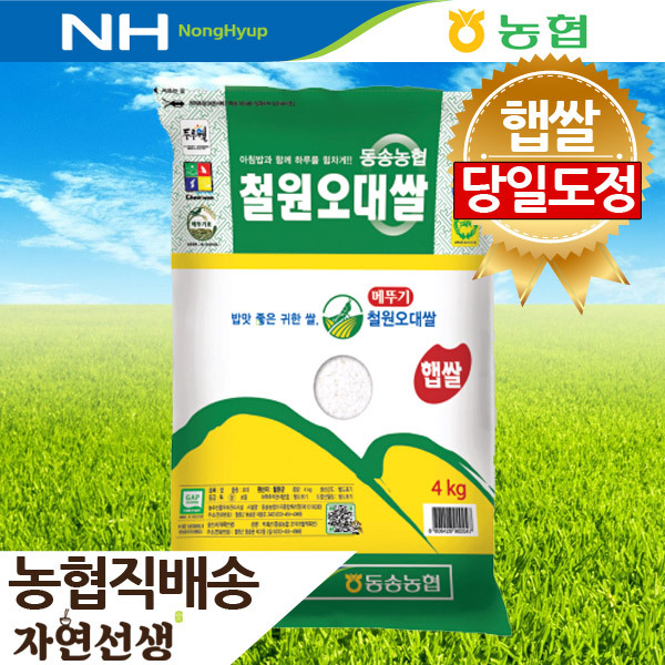 가성비 뛰어난 농협 2020 당일도정 철원오대쌀 4kg 자연선생, 1개 추천해요 가성비 뛰어난 농협 2020 당일도정 철원오대쌀 4kg 자연선생, 1개 추천해요