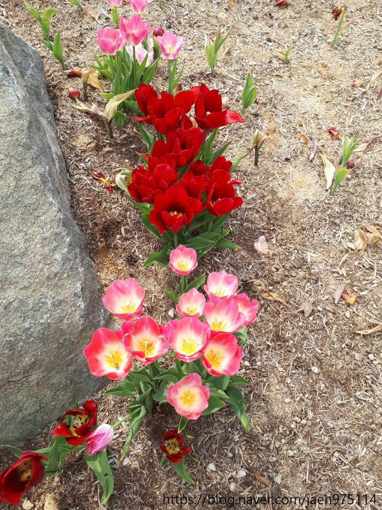  오늘 일기 D11