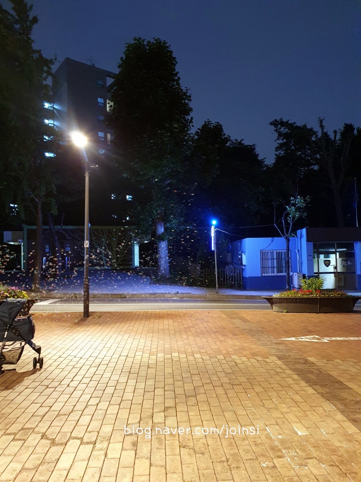  5. 31.(월) 5월의 끝이네