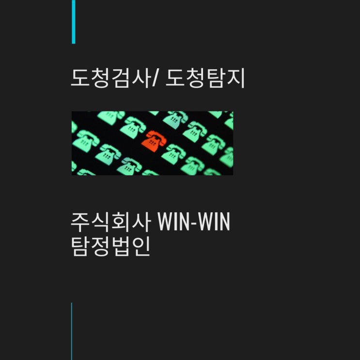  도청검사 도청탐지 전문가에게 의뢰하세요