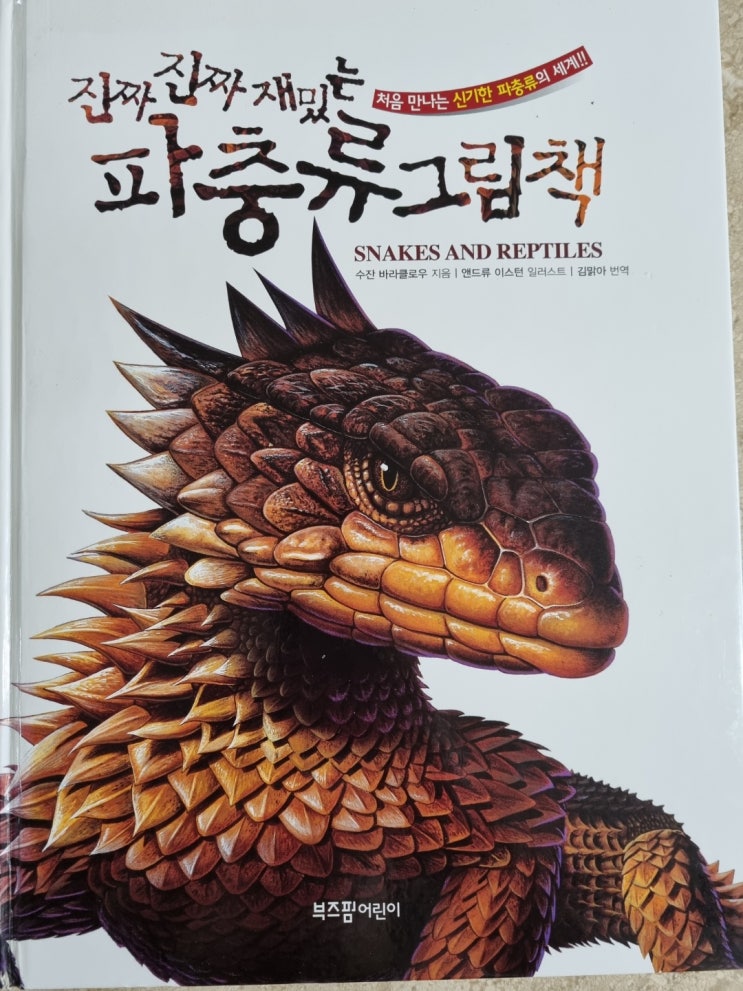 [일상] 진짜 진짜 재밌는 파충류 그림책!