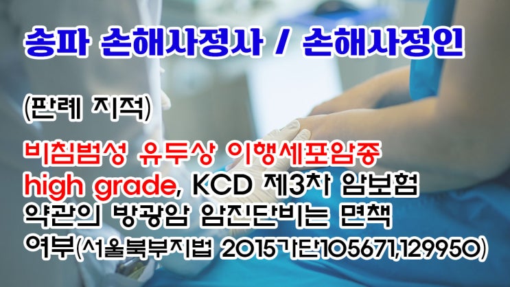  서울시 송파구 오금동, 서울 송파 손해사정인 및 손해사정사의 상세하고도 명석한 법리 설명과 상담