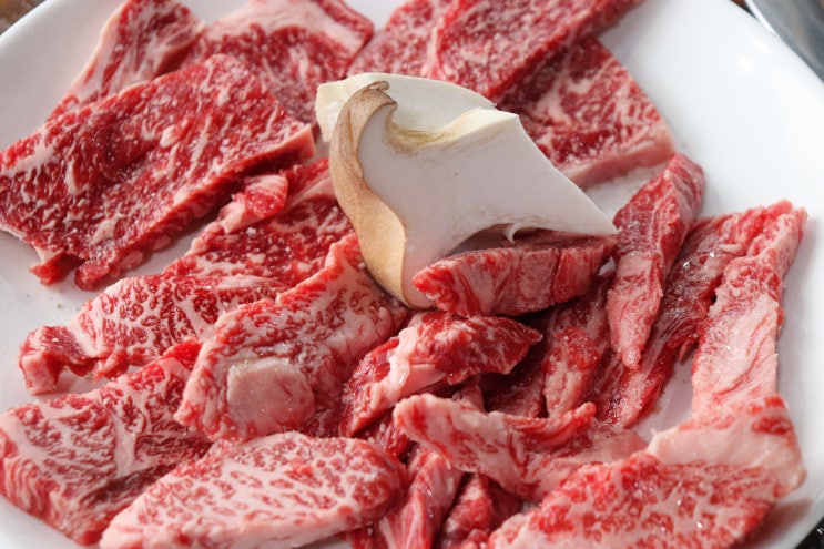  다사 맛집 질이 다른 부드러움의 극강 서재 한우 : 영상한우고집