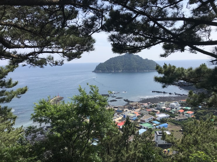  [서귀포여행] 제주의 숨은 비경을 볼 수 있는, 바다에 인접해 있는 오름 - 가볍게 오르기 쉬운 제지기오름