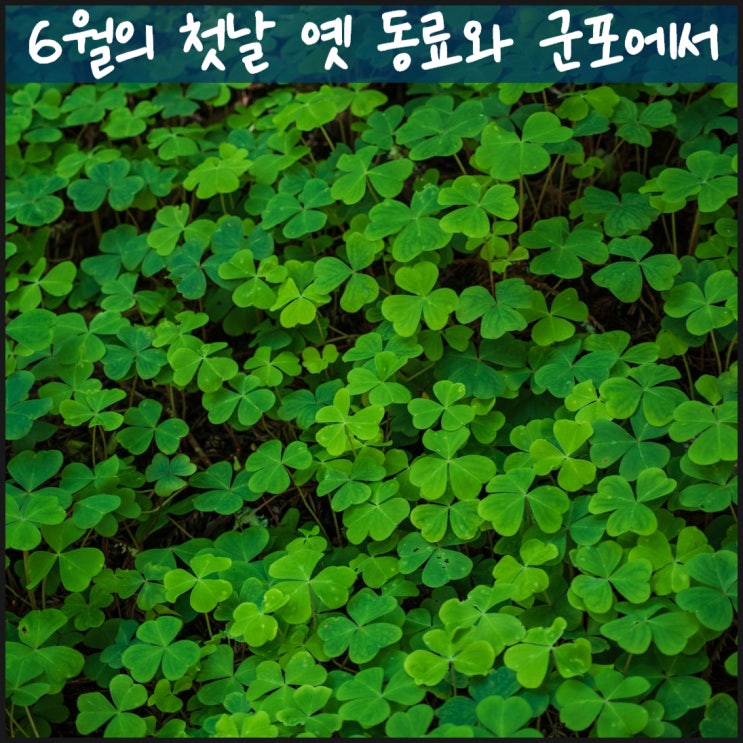  6월의 첫날 옛 동료와 군포에서