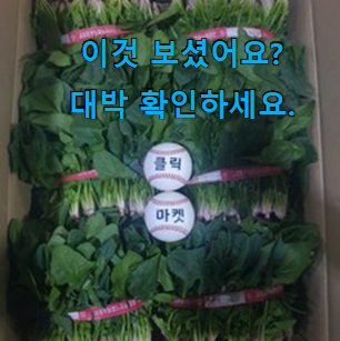  콕 찝어알려드림 남해 시금치 인기목록 와이프가 인정하네요