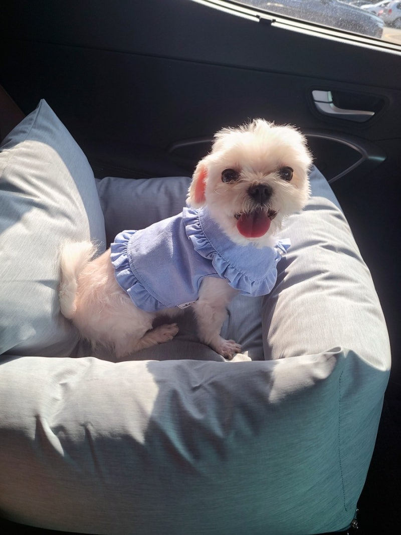 하늘하늘한 드레스 사진 | Unsplash에서 무료 이미지 다운로드, image size:800x1067