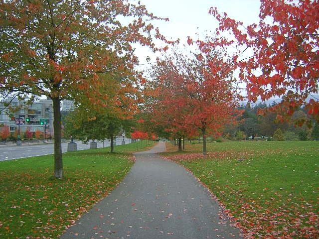  Canada - Vancouver - 별것 아니지만 영화처럼