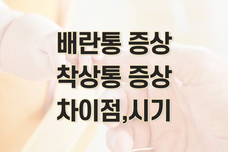  배란통 증상, 착상통 증상의 차이점과 증상별 시기 정리