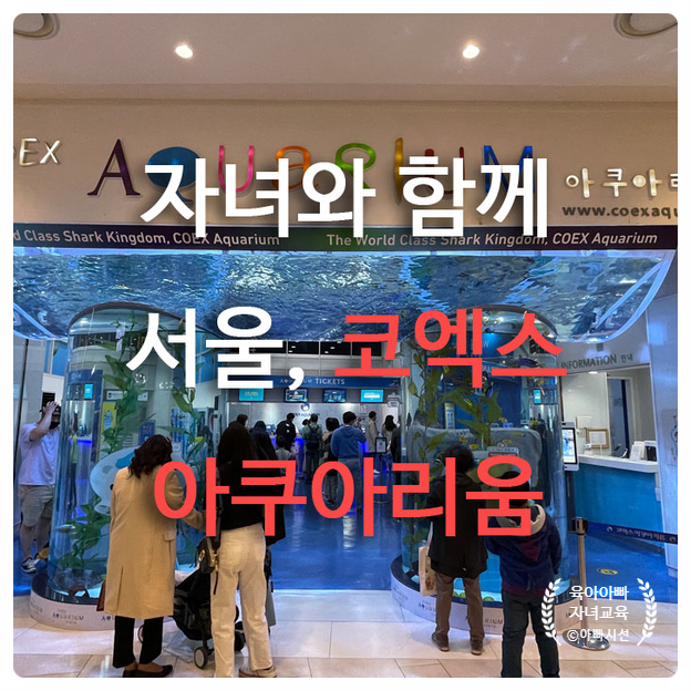  자녀와 서울가볼만한곳 - 코엑스 아쿠아리움 추천 및 후기