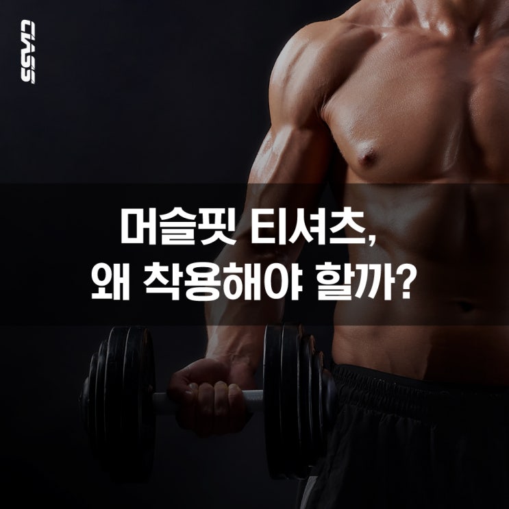  [헬스복/운동복]'머슬핏'티셔츠, 왜 착용해야 할까?- 클래스스포츠 신규 머슬핏 반팔 티셔츠 추천